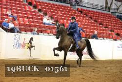 19BUCK_01561 proof