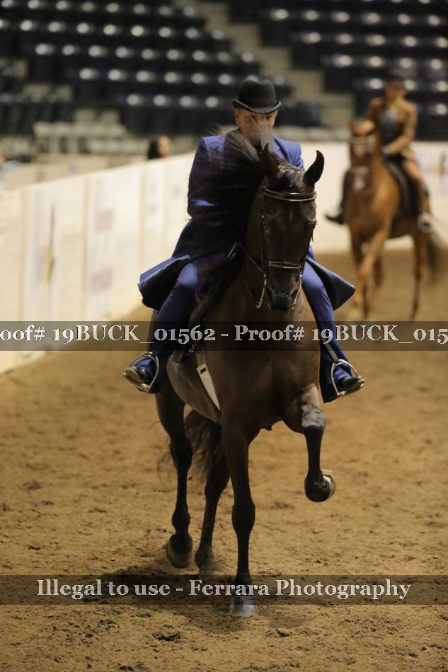 Proof 19BUCK_01562