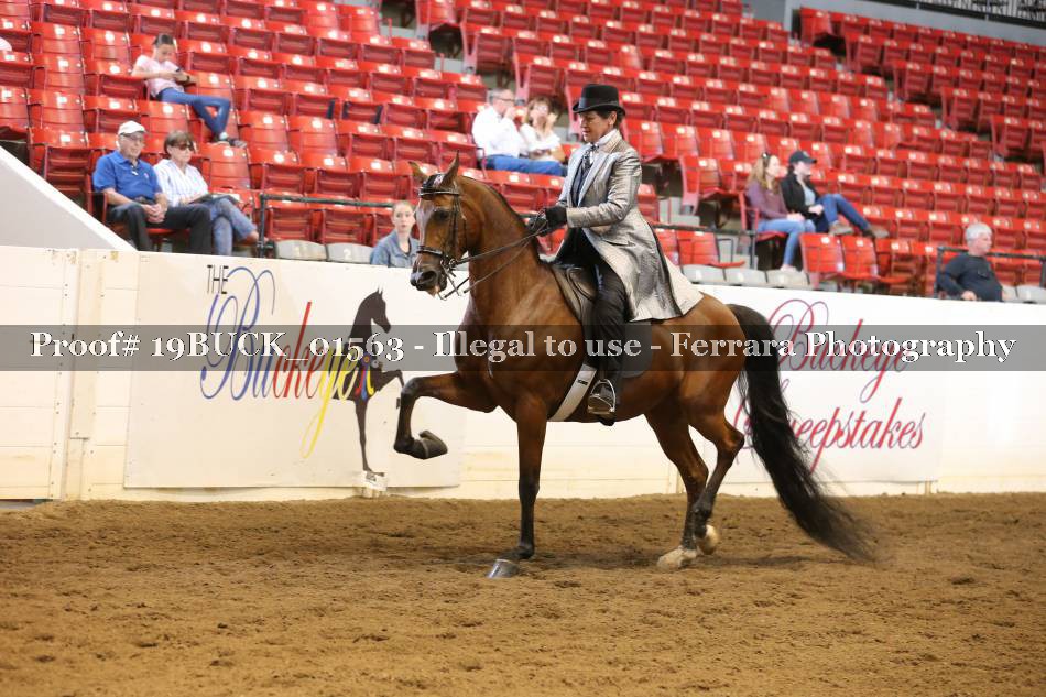 Proof 19BUCK_01563