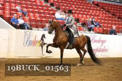 19BUCK_01563 proof