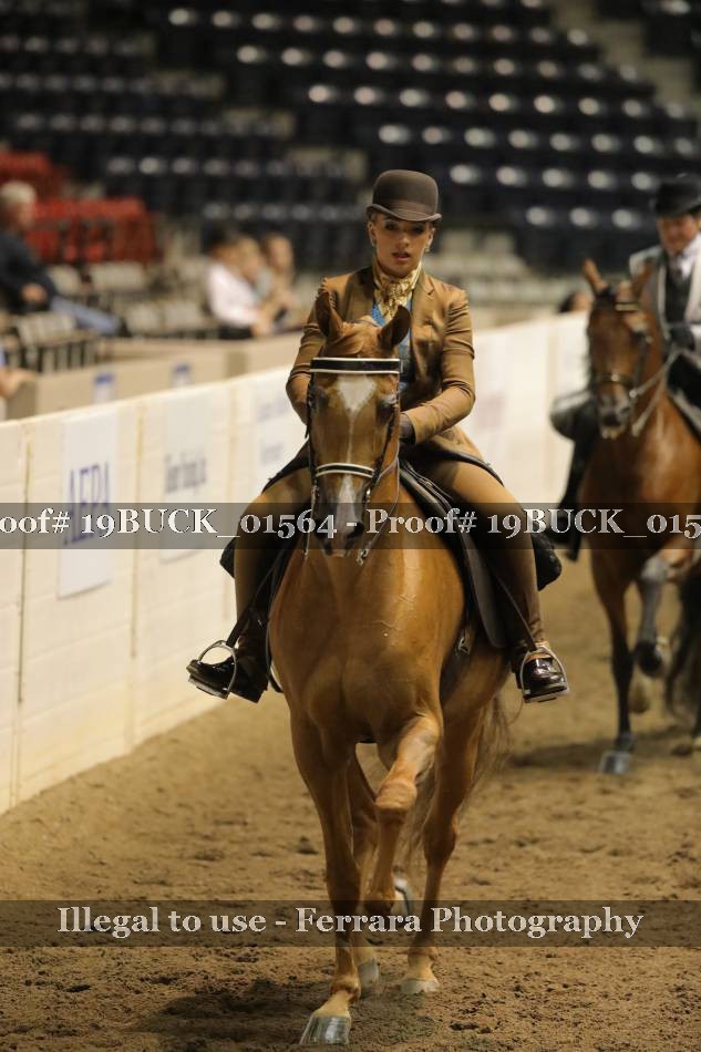 Proof 19BUCK_01564