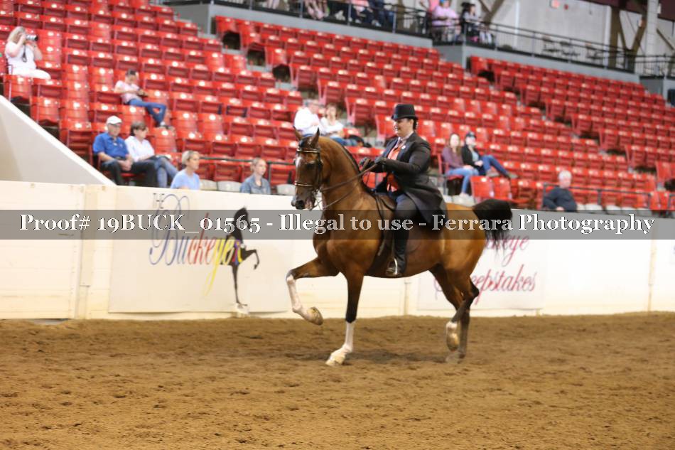 Proof 19BUCK_01565