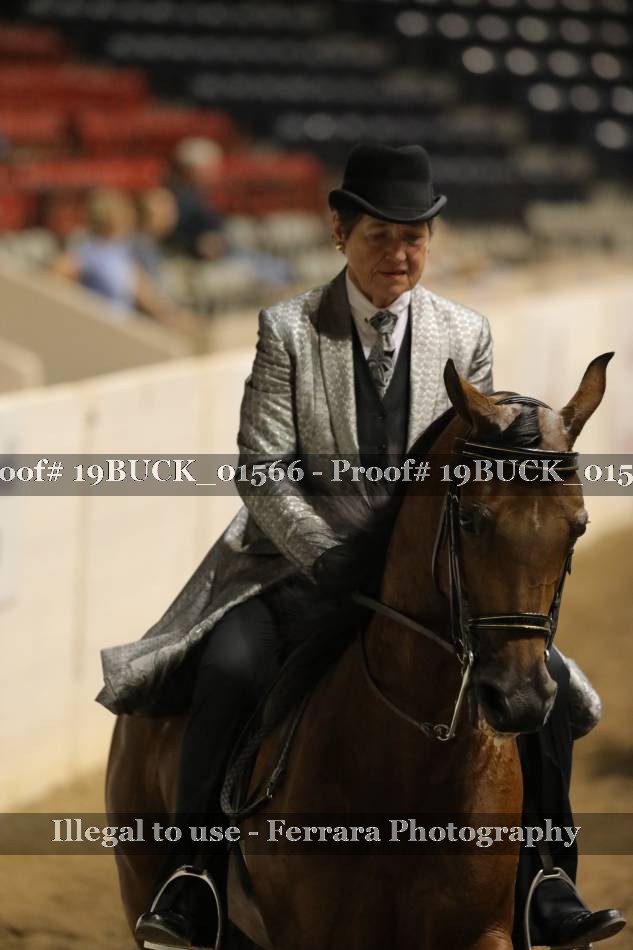 Proof 19BUCK_01566