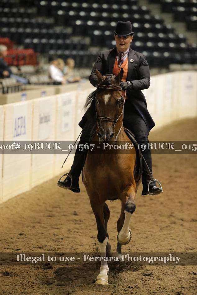 Proof 19BUCK_01567