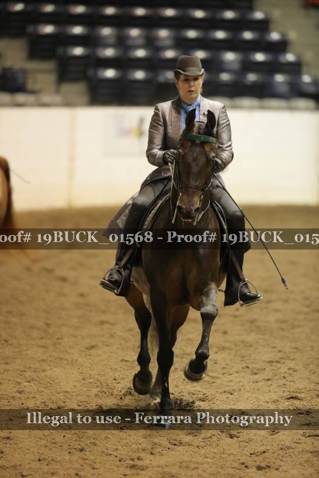 Proof 19BUCK_01568