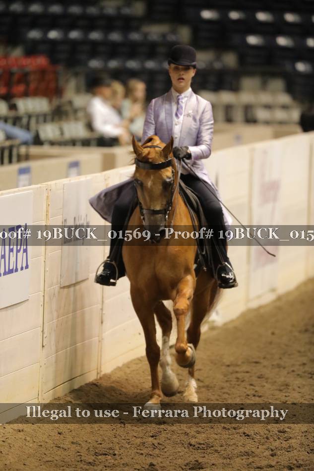Proof 19BUCK_01569