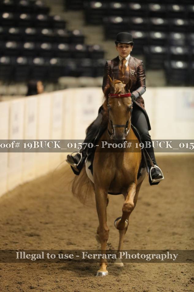 Proof 19BUCK_01570