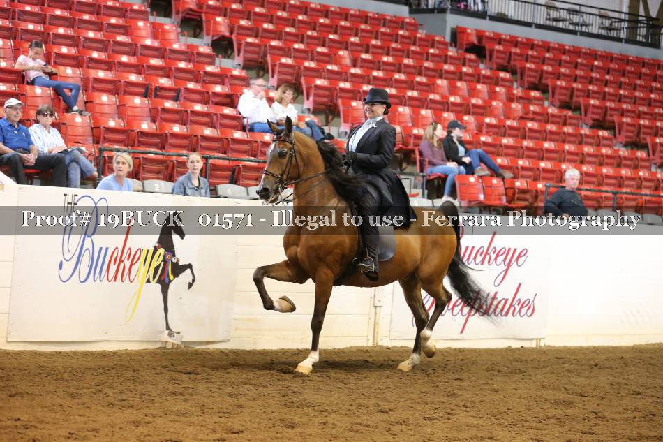Proof 19BUCK_01571