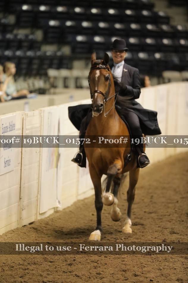 Proof 19BUCK_01572