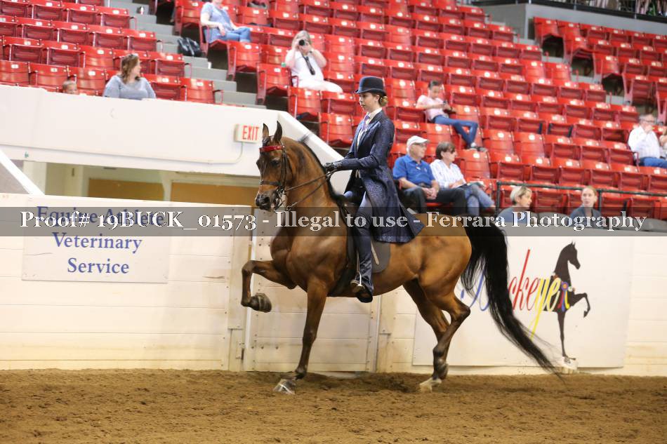 Proof 19BUCK_01573