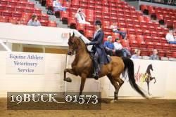 19BUCK_01573 proof