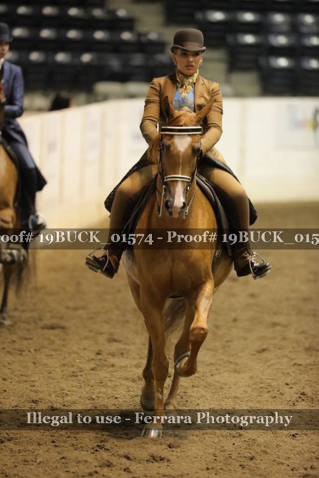 Proof 19BUCK_01574