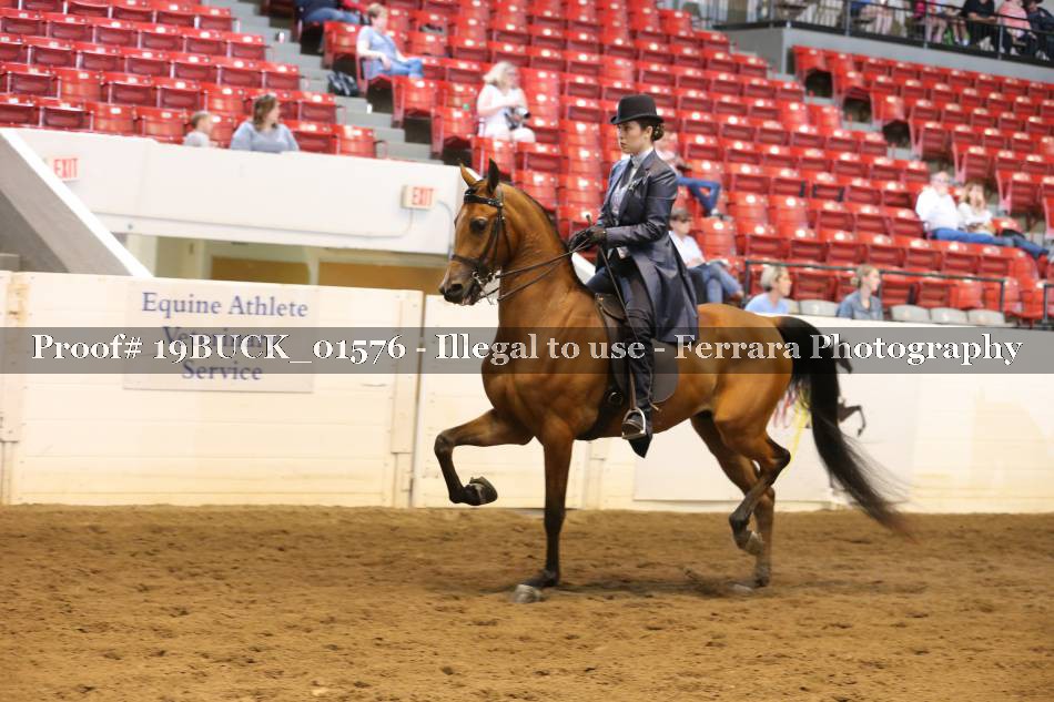 Proof 19BUCK_01576