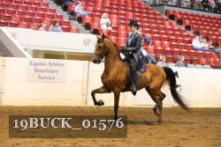 19BUCK_01576 proof