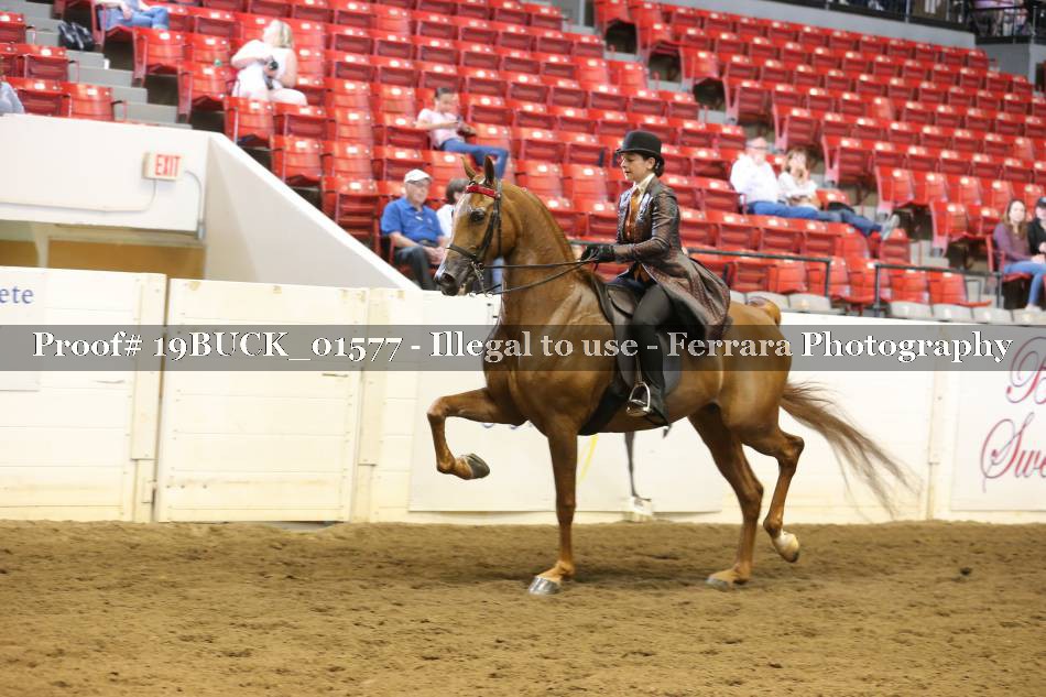 Proof 19BUCK_01577