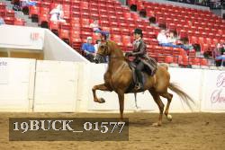 19BUCK_01577 proof