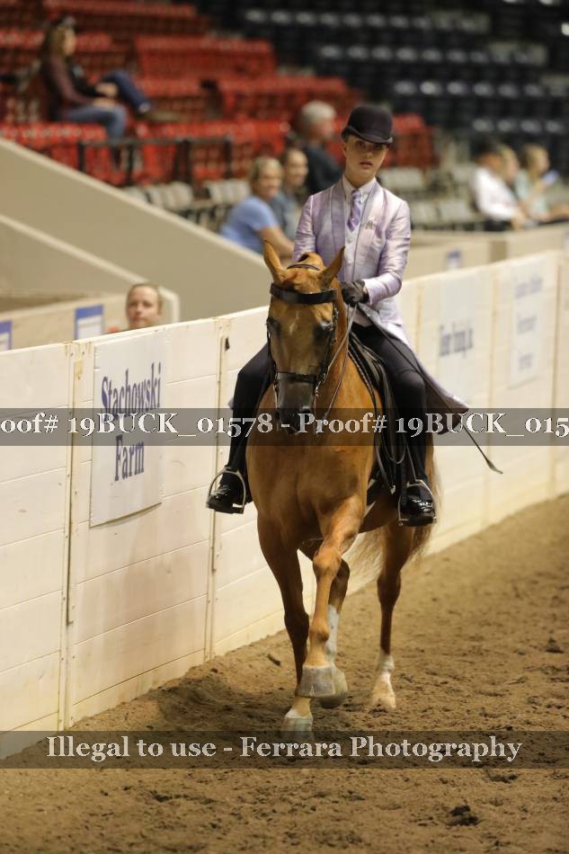 Proof 19BUCK_01578