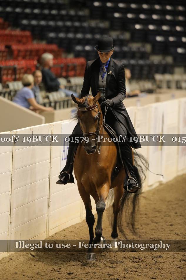 Proof 19BUCK_01579