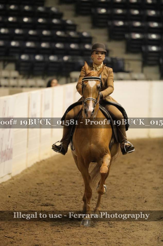 Proof 19BUCK_01581
