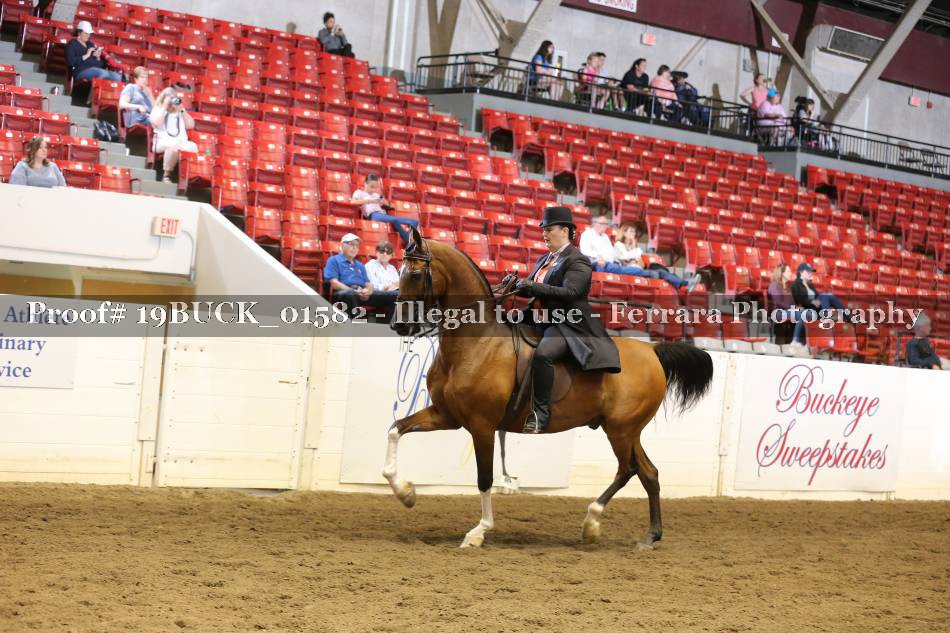 Proof 19BUCK_01582