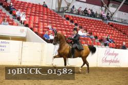 19BUCK_01582 proof