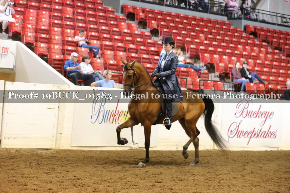Proof 19BUCK_01583