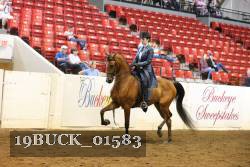 19BUCK_01583 proof