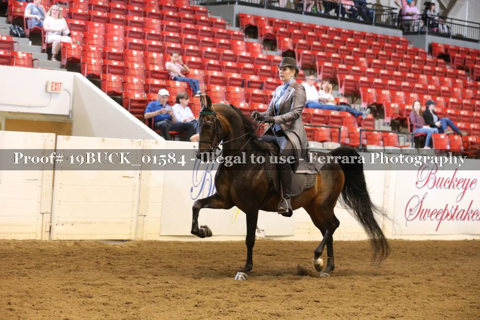 Proof 19BUCK_01584