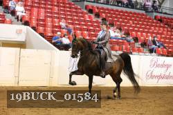 19BUCK_01584 proof