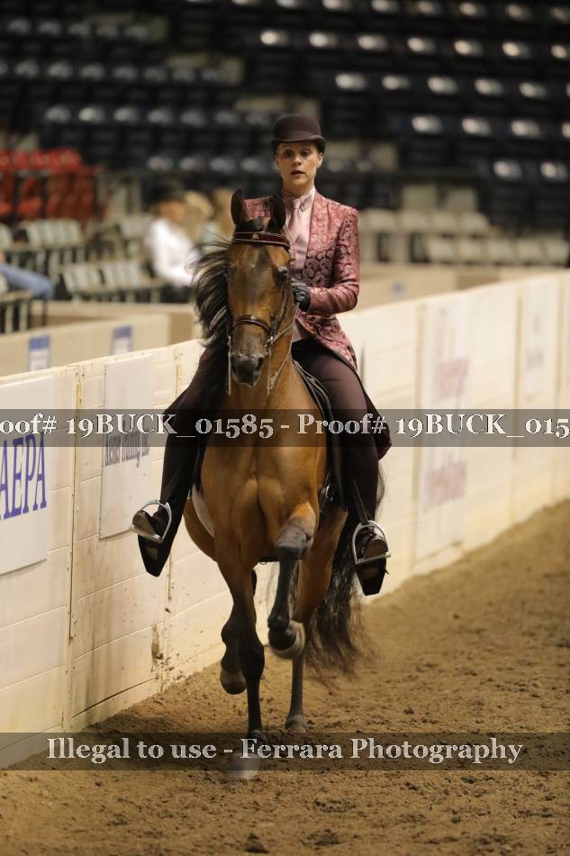 Proof 19BUCK_01585