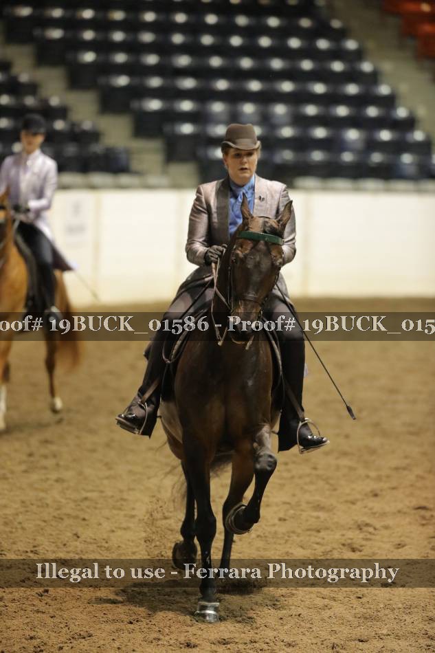 Proof 19BUCK_01586