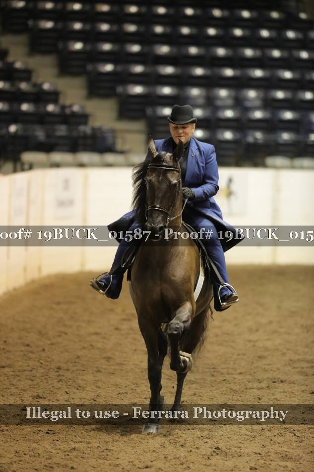 Proof 19BUCK_01587