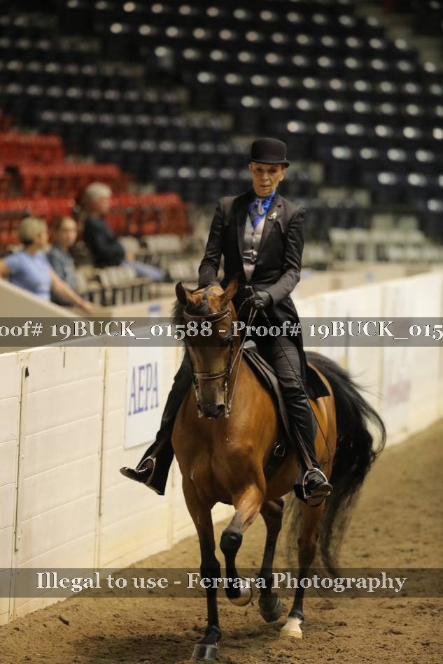Proof 19BUCK_01588