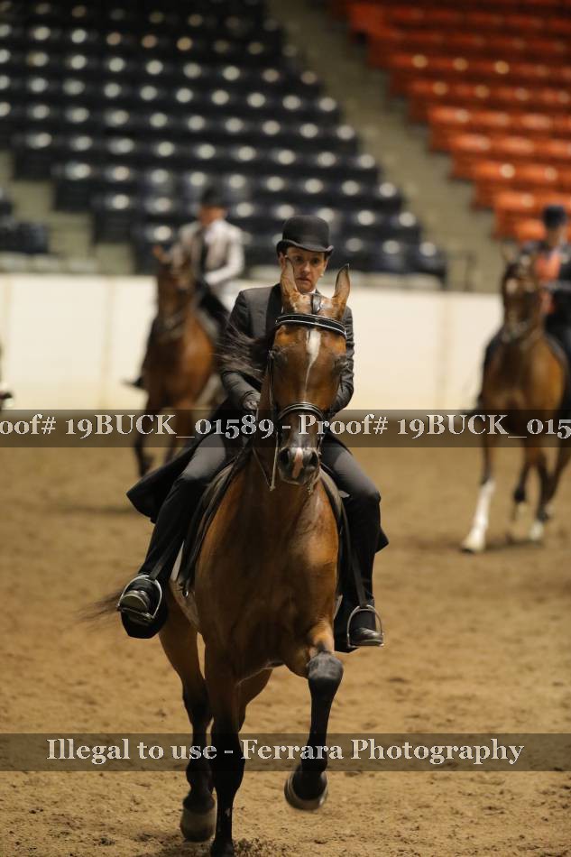 Proof 19BUCK_01589