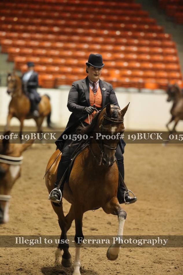 Proof 19BUCK_01590