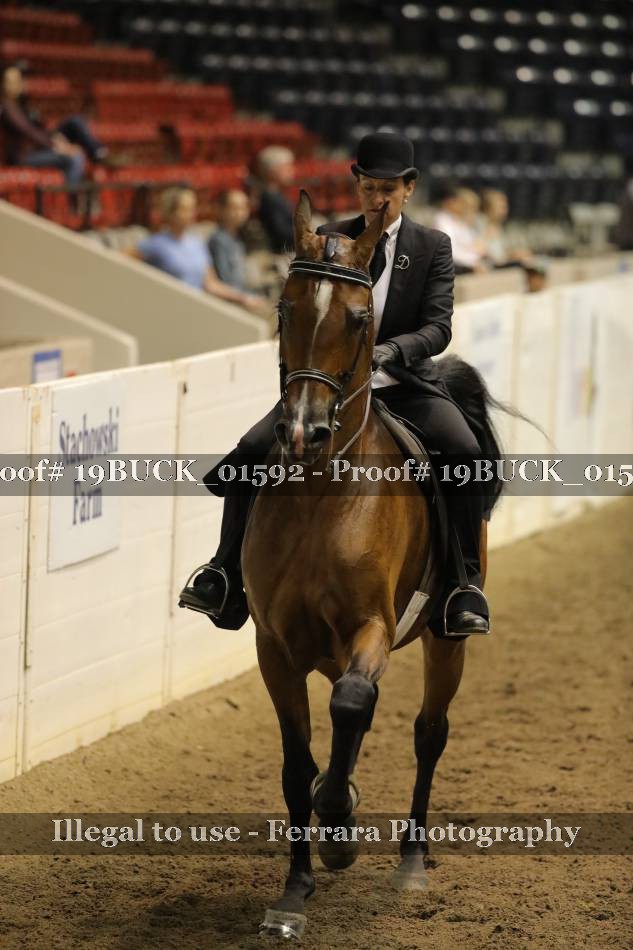 Proof 19BUCK_01592
