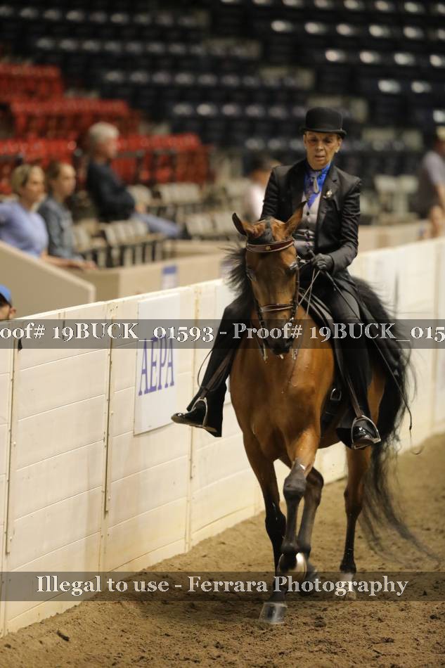 Proof 19BUCK_01593