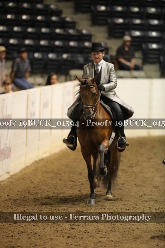 Proof 19BUCK_01594