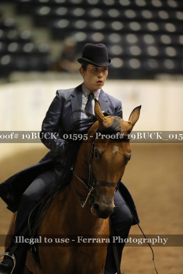 Proof 19BUCK_01595
