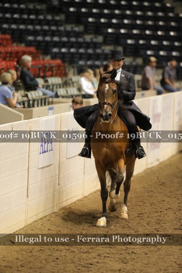 Proof 19BUCK_01596