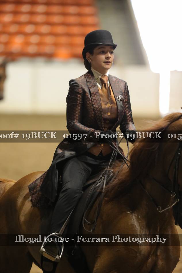 Proof 19BUCK_01597