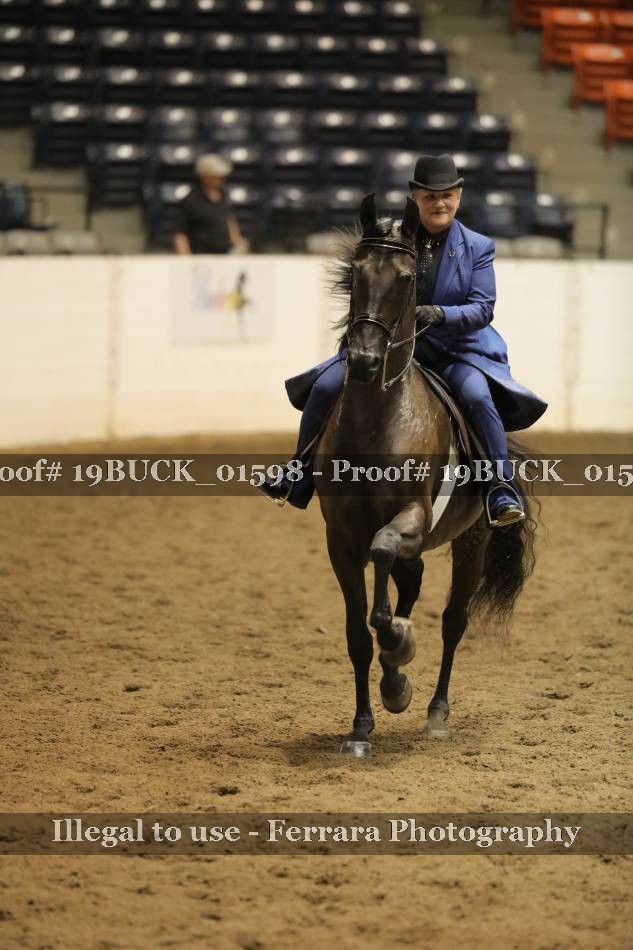 Proof 19BUCK_01598