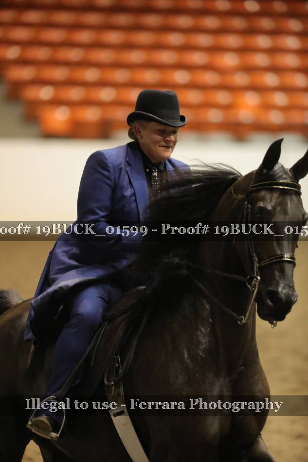 Proof 19BUCK_01599