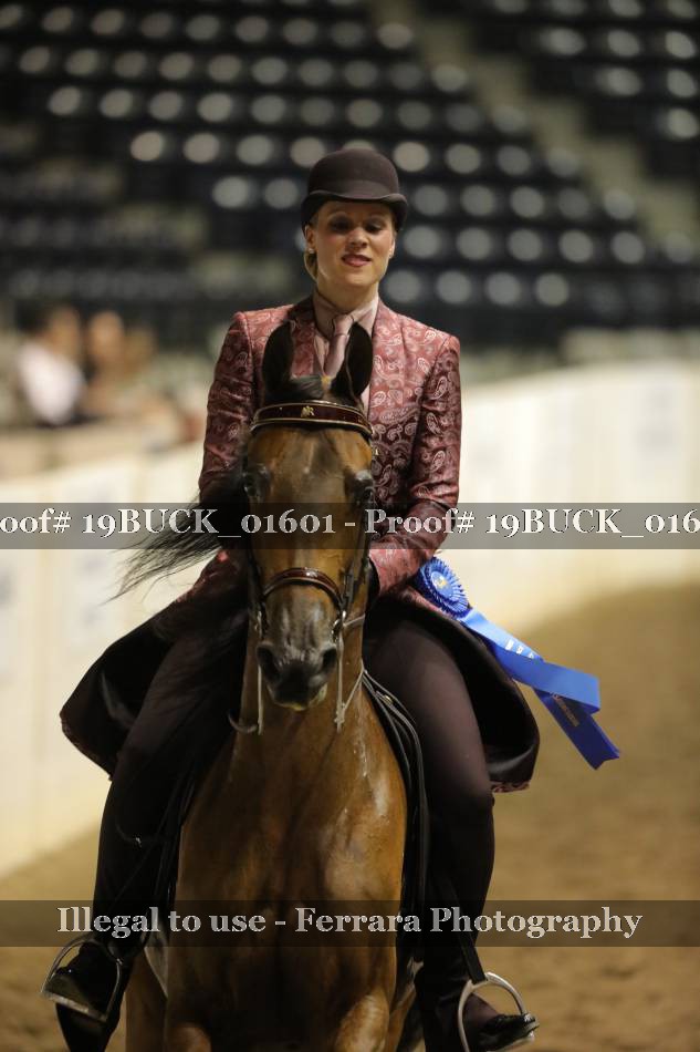 Proof 19BUCK_01601