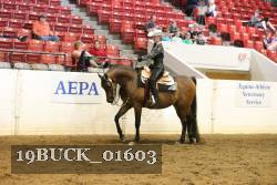 19BUCK_01603 proof