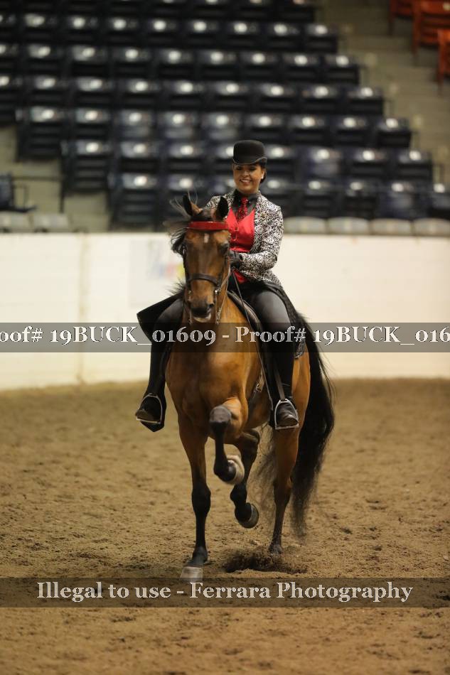 Proof 19BUCK_01609
