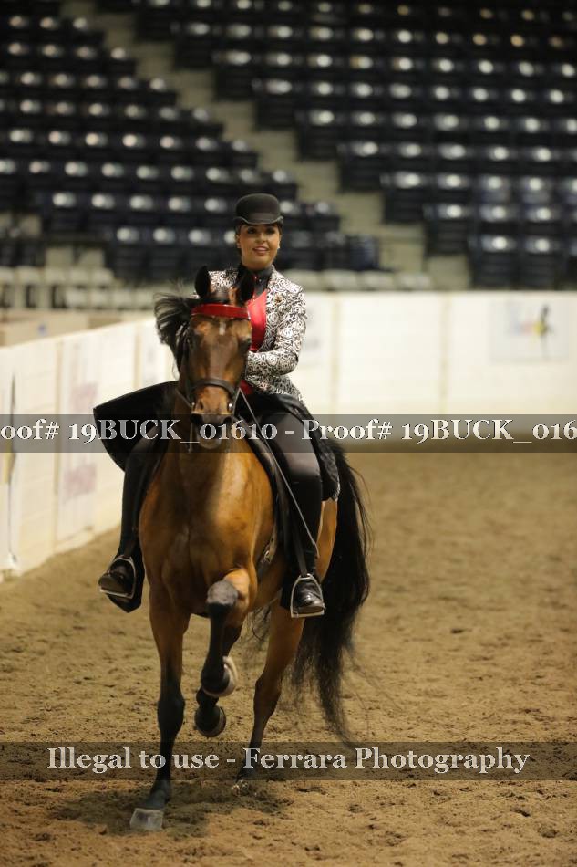 Proof 19BUCK_01610