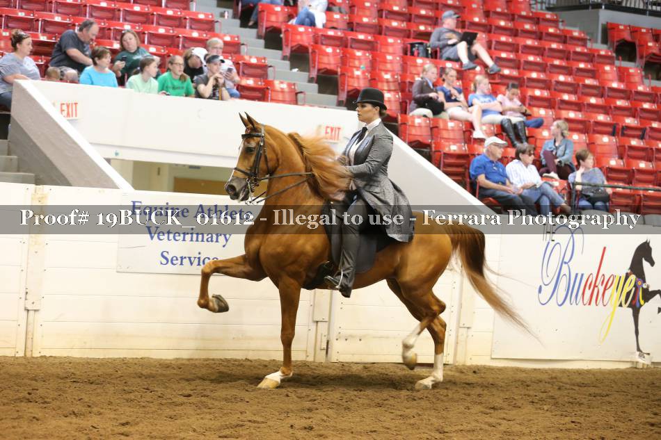 Proof 19BUCK_01612