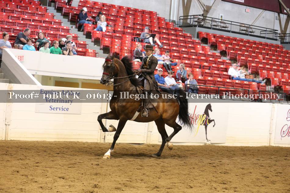 Proof 19BUCK_01613