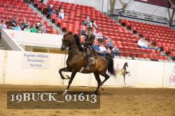 19BUCK_01613 proof